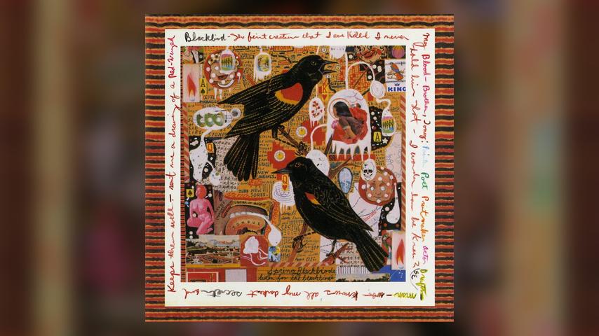 Steve Earle JUST AN AMERICAN BOY Album Cover