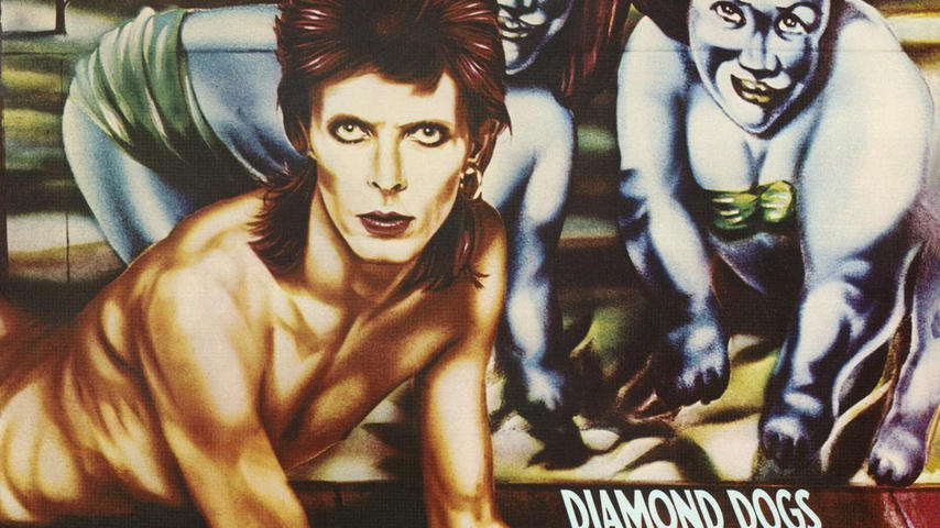 DIAMOND DOGS 