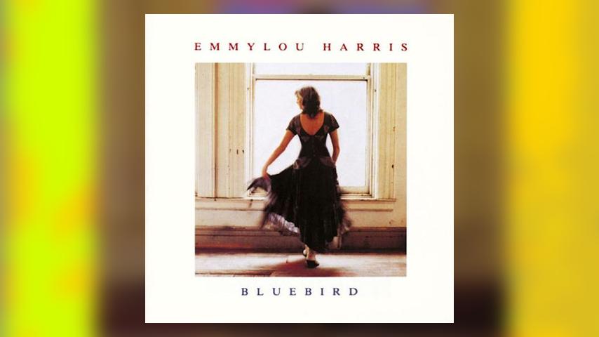 Happy Anniversary BLUEBIRD