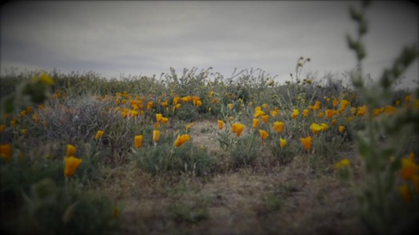 Bad Company - “Burnin’ Sky” (Official Lyric Video) 