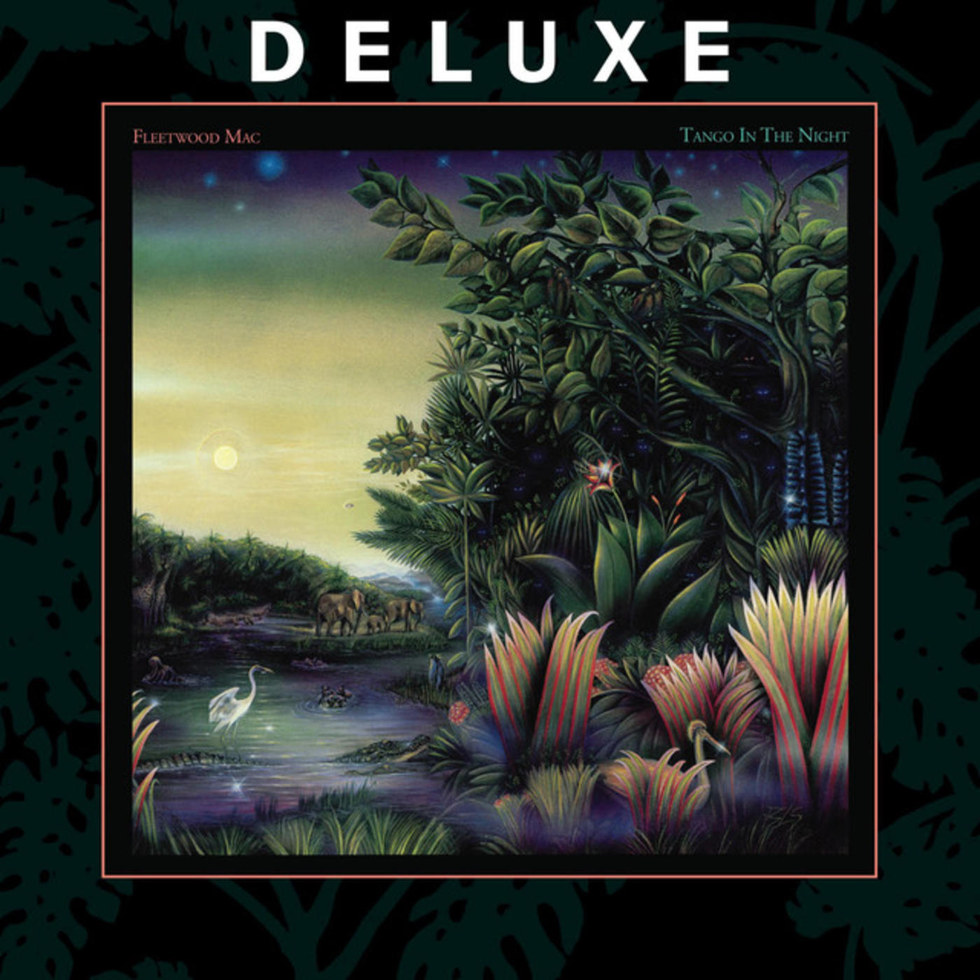 Tango In the Night (Deluxe)